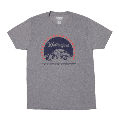 Wallingford Tahoma Tee - Grey/Navy/Red